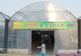 야생화 분경전시관