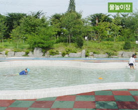 정자