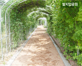 발지압공원