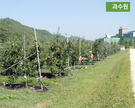 과수원
