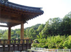 정자