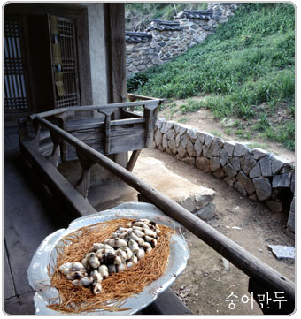 양숙편 사진